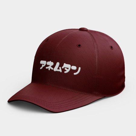 安勒母湯  安勒母湯