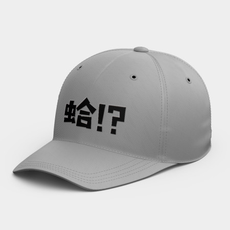 蛤!? 蛤!?