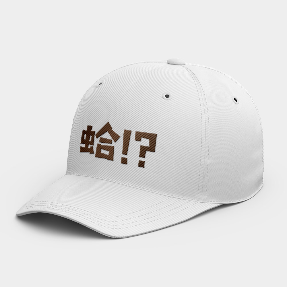 蛤!? 蛤!?