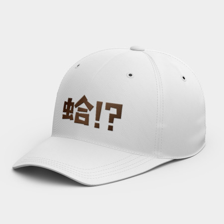 蛤!? 蛤!?