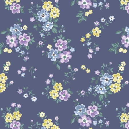 藍紫小花 藍紫小花