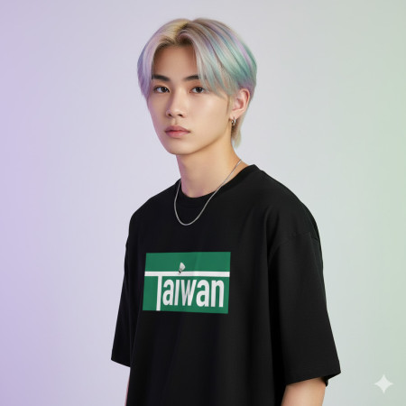 TAIWAN 台灣羽球金牌