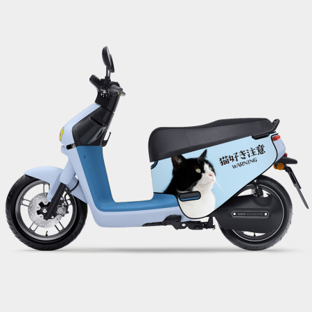 客製化寵物照片 文字 客製化寵物照片 文字