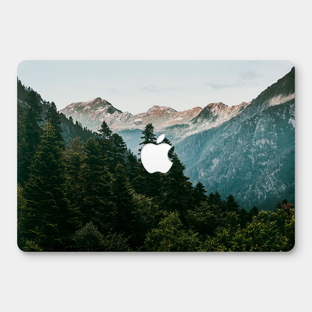 山景