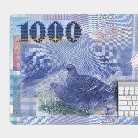新台幣1000元 新台幣1000元