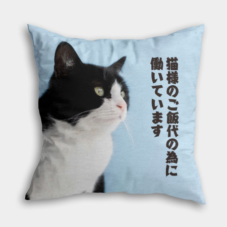 為了貓糧工作