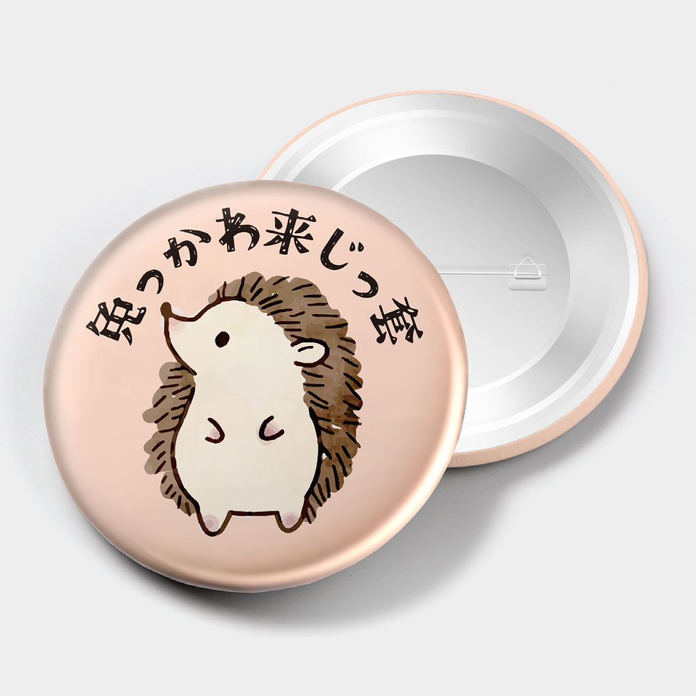 少來這一套 免っかわ 来じっ套