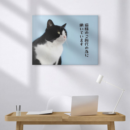 為了貓糧工作 為了貓糧工作