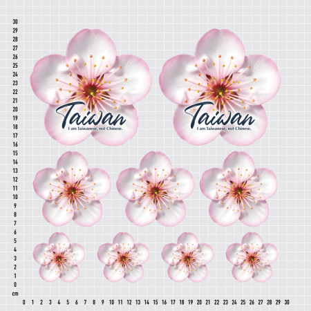 我是台灣人 梅花 我是台灣人 梅花