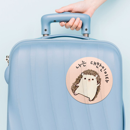 我是台灣人 刺蝟的各種姿勢 我是台灣人 刺蝟的各種姿勢