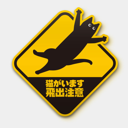 貓飛出注意