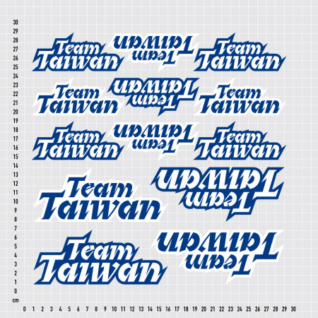 TEAM TAIWAN