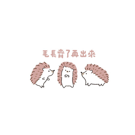 毛長齊了再出來！刺蝟