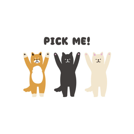 Pick me 柴犬 Pick me 柴犬