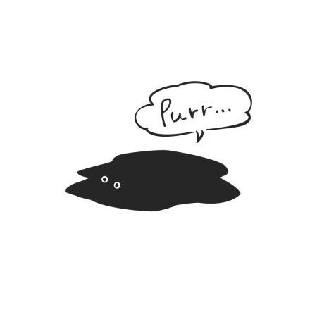 黑貓 Purr 黑貓 Purr