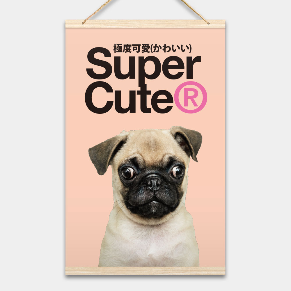 Super Cute 客製化寵物照片